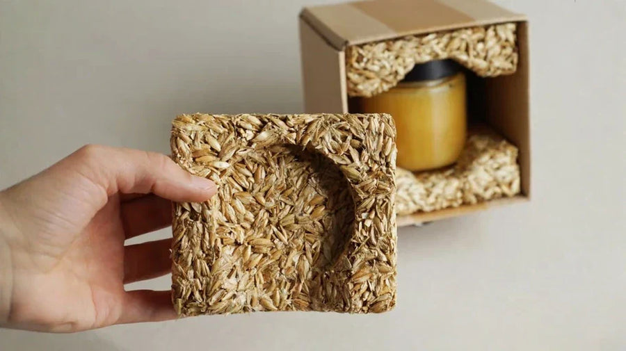Home Composting for Zero-Waste Living