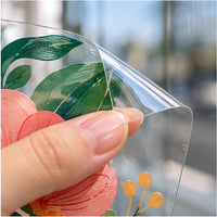 Close-up of thin glossy crystal-clear removable window decal vinyl