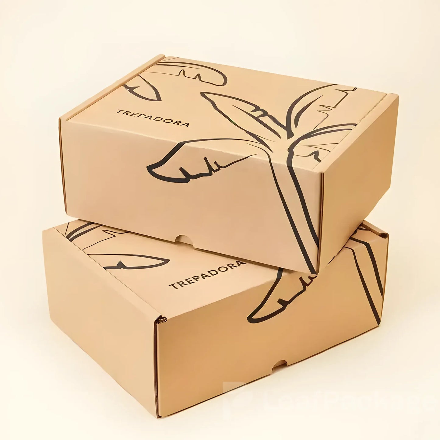 Custom Corrugated Mailer Boxes Wholesale