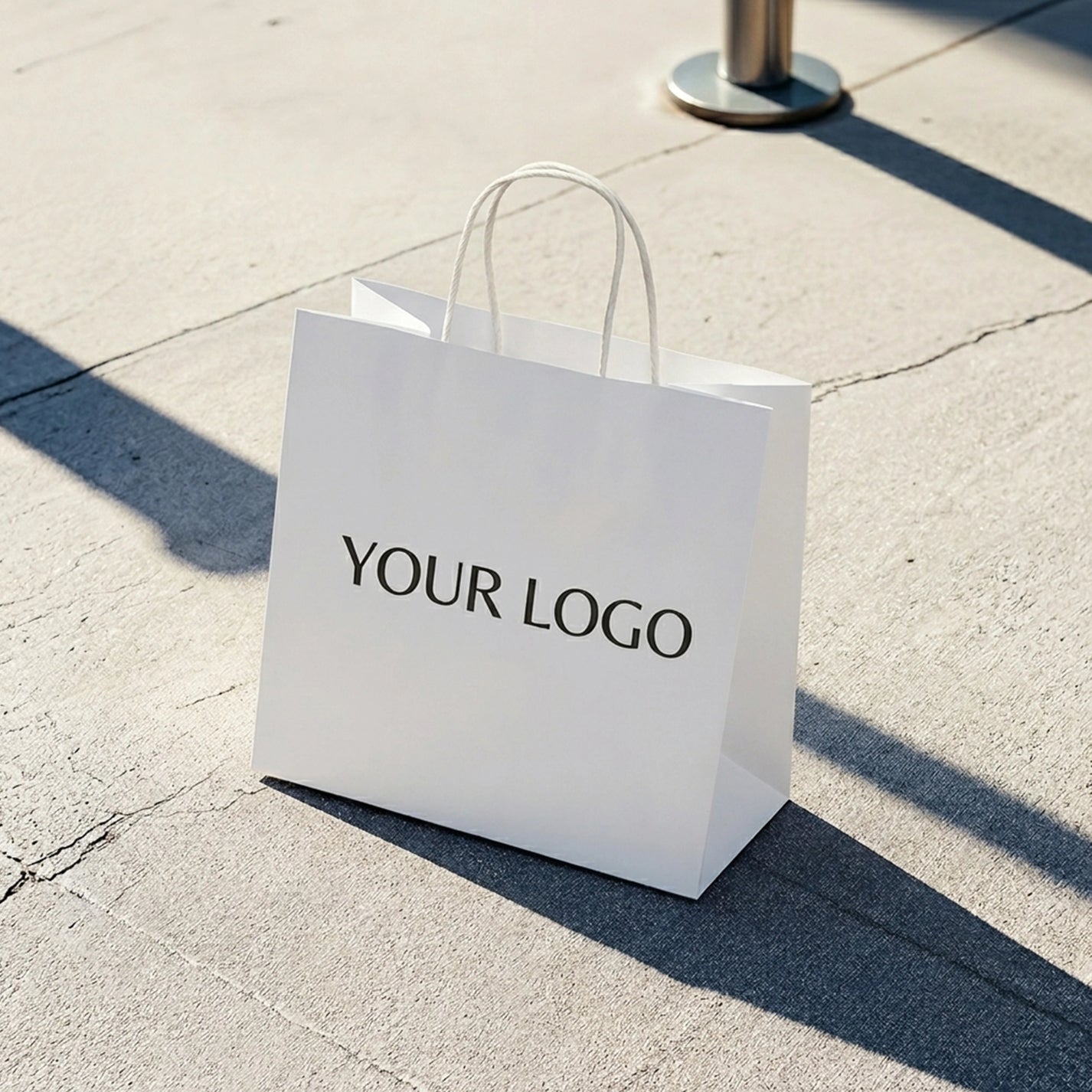 Custom Twisted Handle Paper Bags