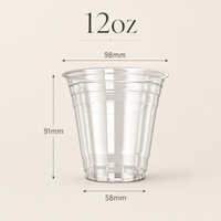 12oz Custom Disposable PET Ice Cream Cups with Logo – 98mm Rim