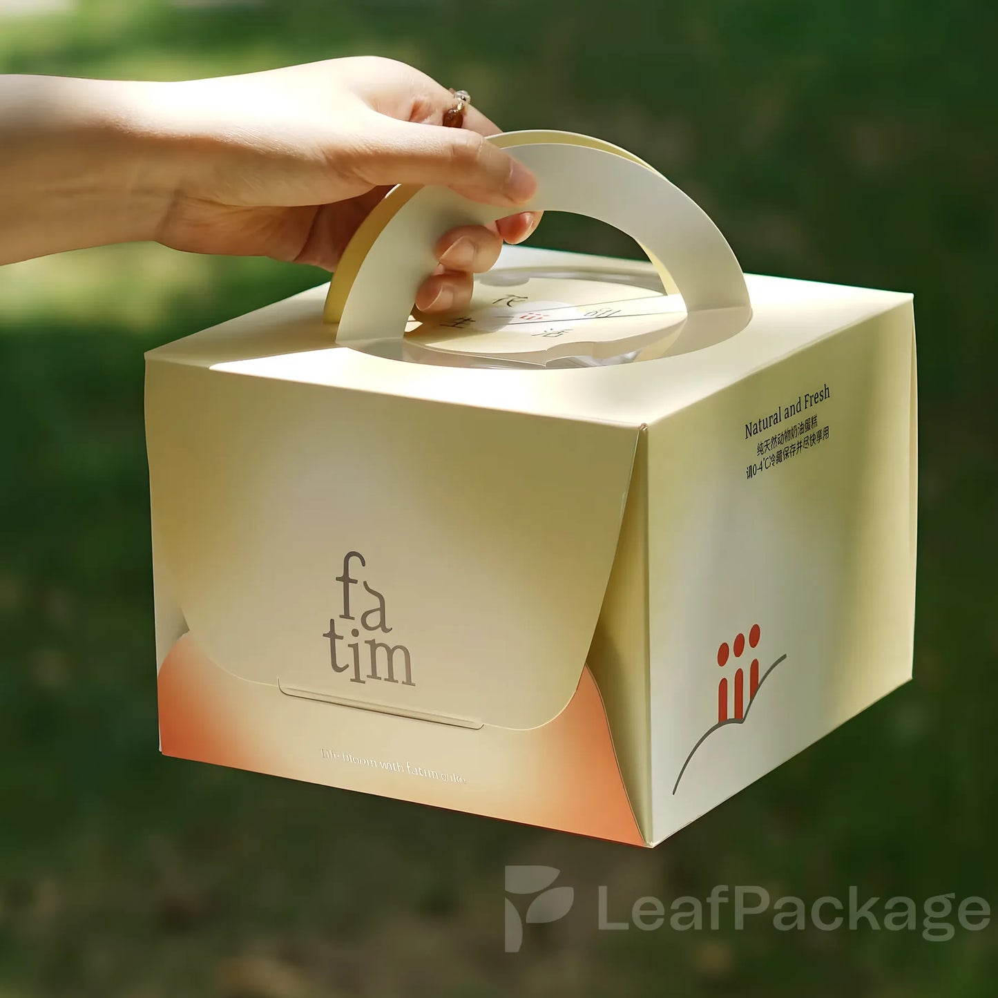 Custom Window Cake Boxes with Handle