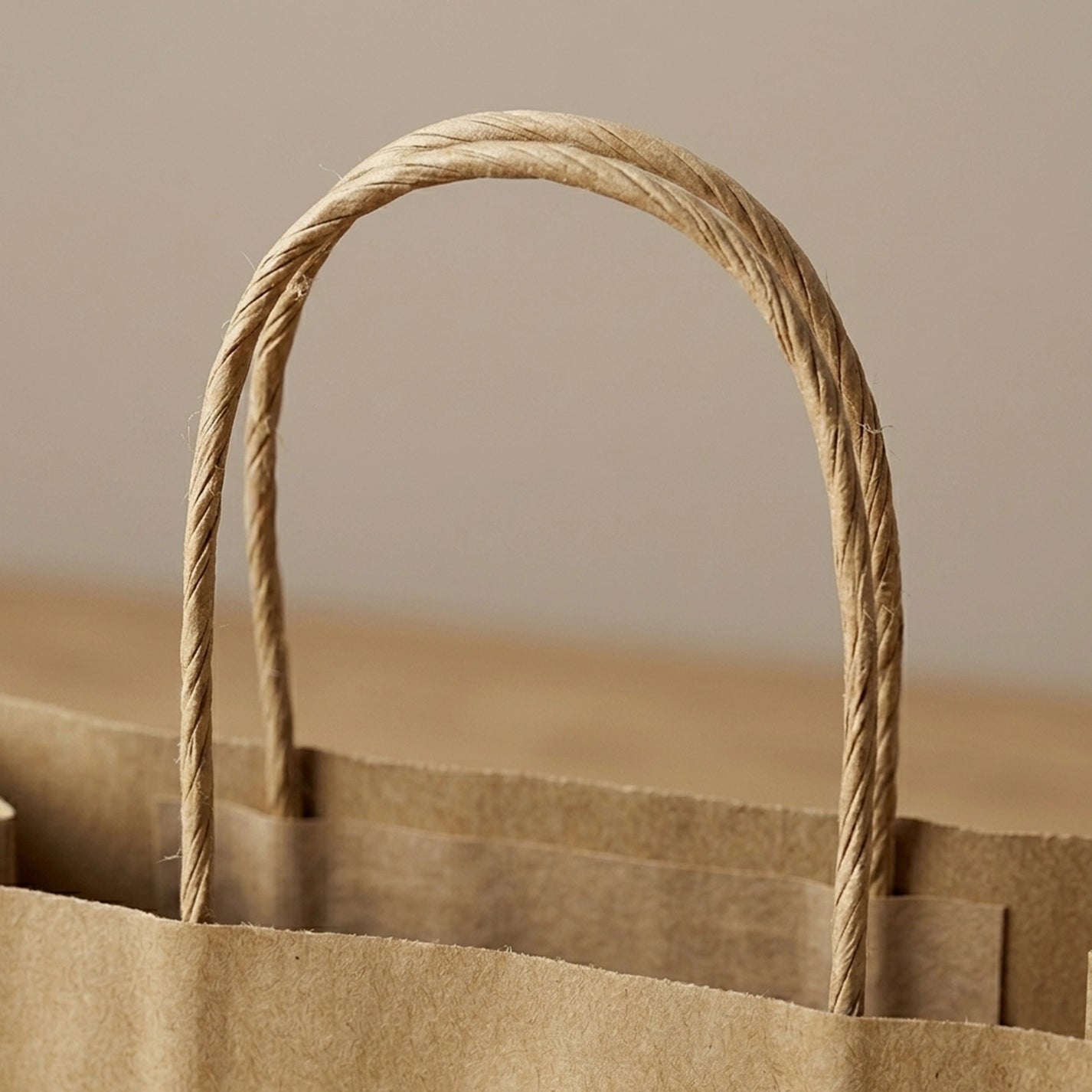 Custom Twisted Handle Paper Bags
