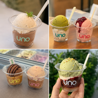 9oz Custom PET Flat-Bottom Ice Cream Cups with Logo – 95mm Rim
