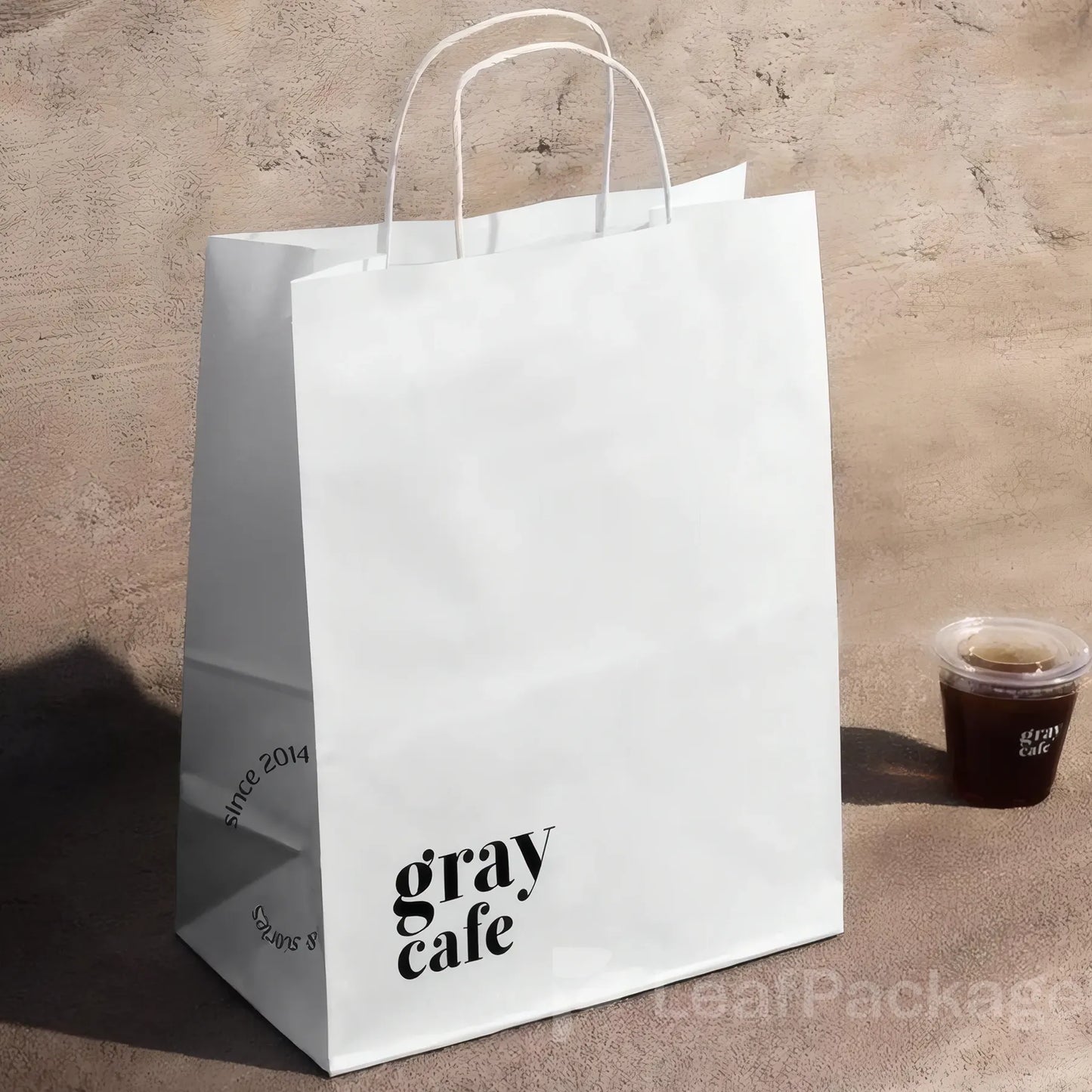 Custom Twisted Handle Paper Bags