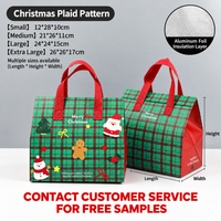 Ready-to-Ship Christmas Insulated Cooler Delivery Bags  Holiday Patterns