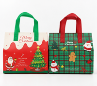 Ready-to-Ship Christmas Insulated Cooler Delivery Bags  Holiday Patterns