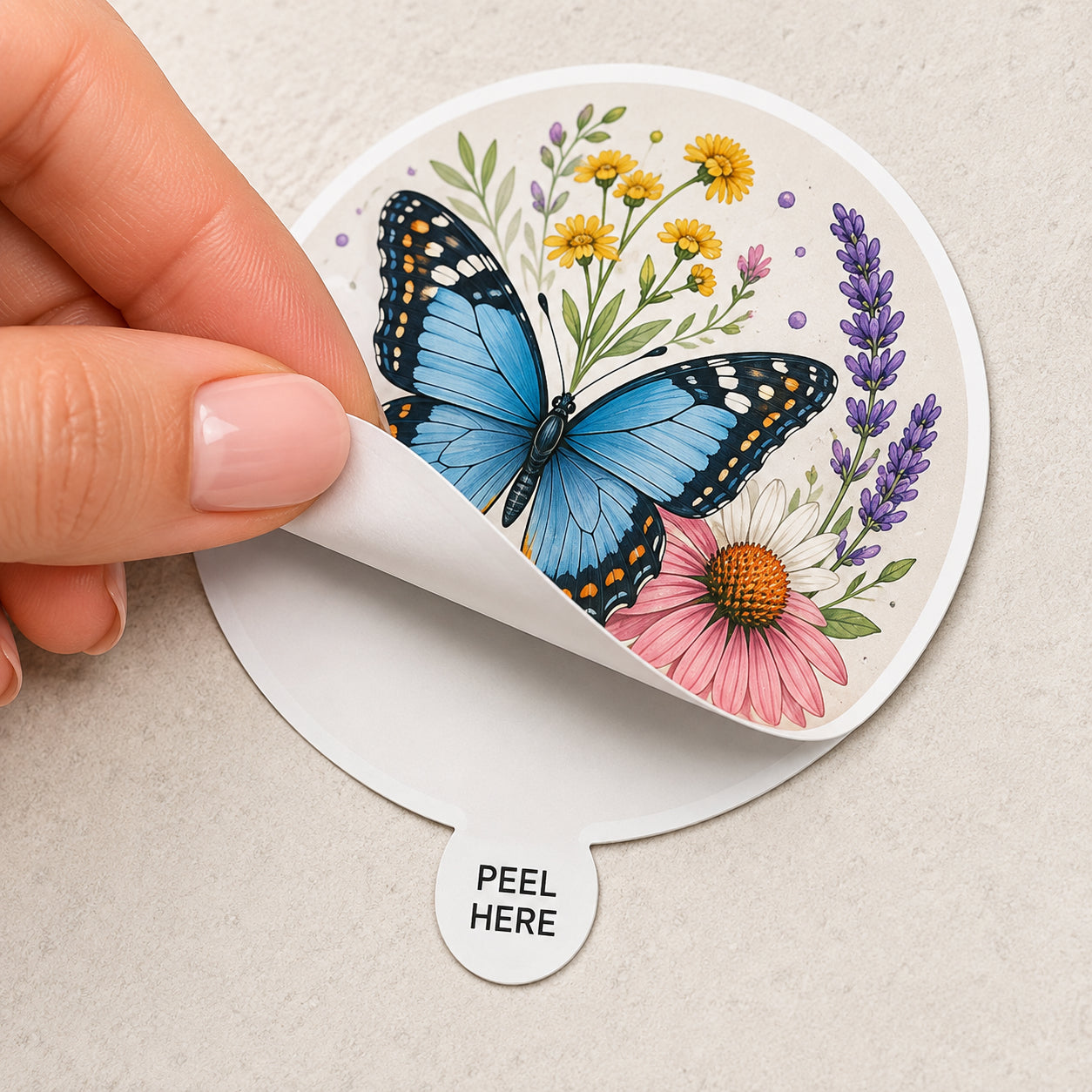 Custom Easy Peel Die Cut Stickers