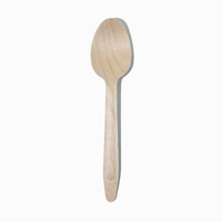 Disposable Wooden Ice Cream & Dessert Spoons – 1000/Case