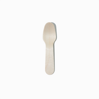 Disposable Wooden Ice Cream & Dessert Spoons – 1000/Case
