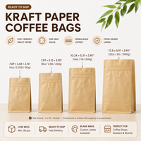 Ready-to-Ship Blank Kraft Coffee Bags – Valve & Zipper Options