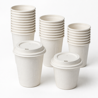Ready to Ship Compostable Sugarcane Fiber Coffee Cups