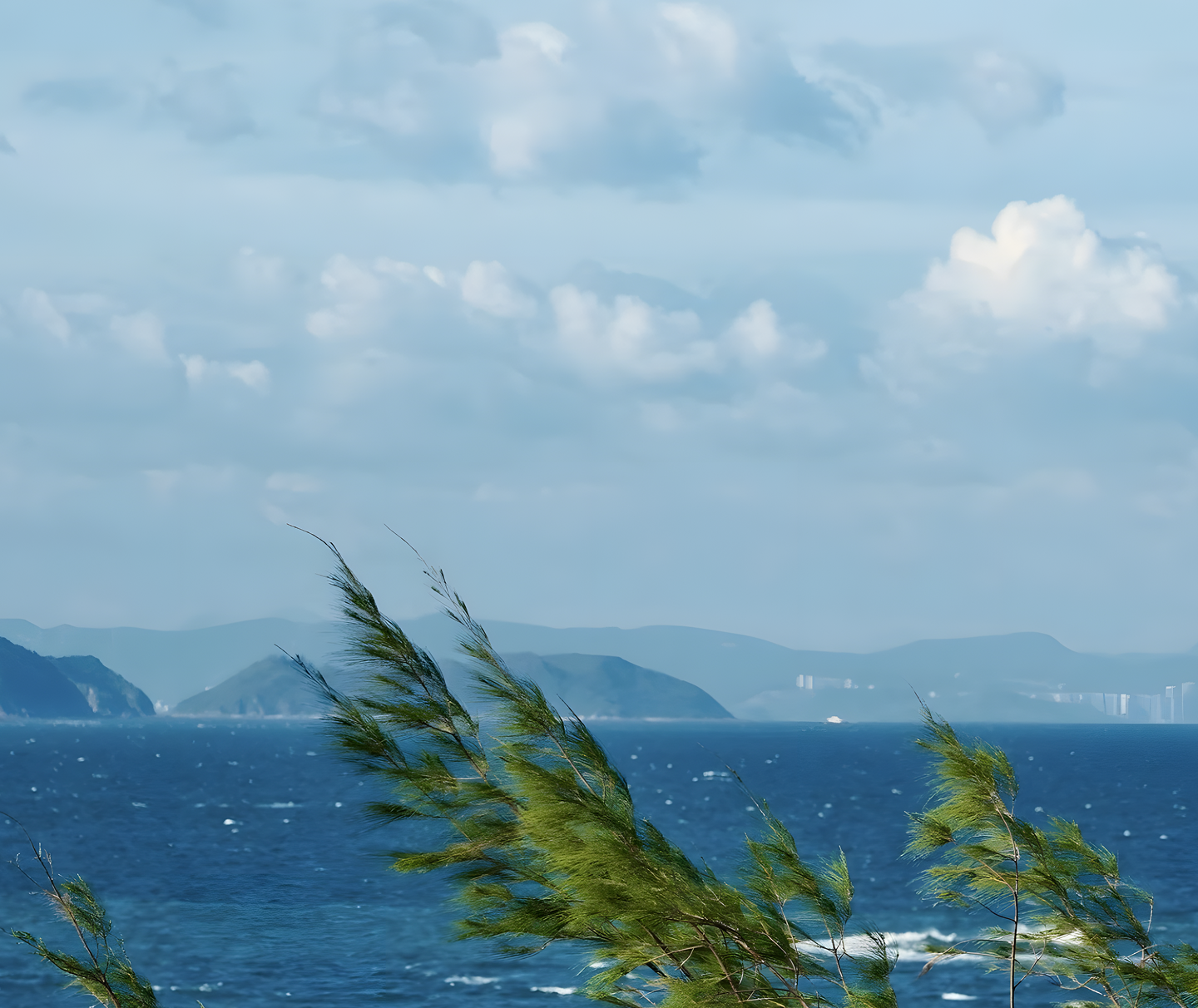 Empowering Small Businesses Worldwide